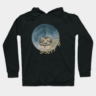 Spectacled Owl Hoodie